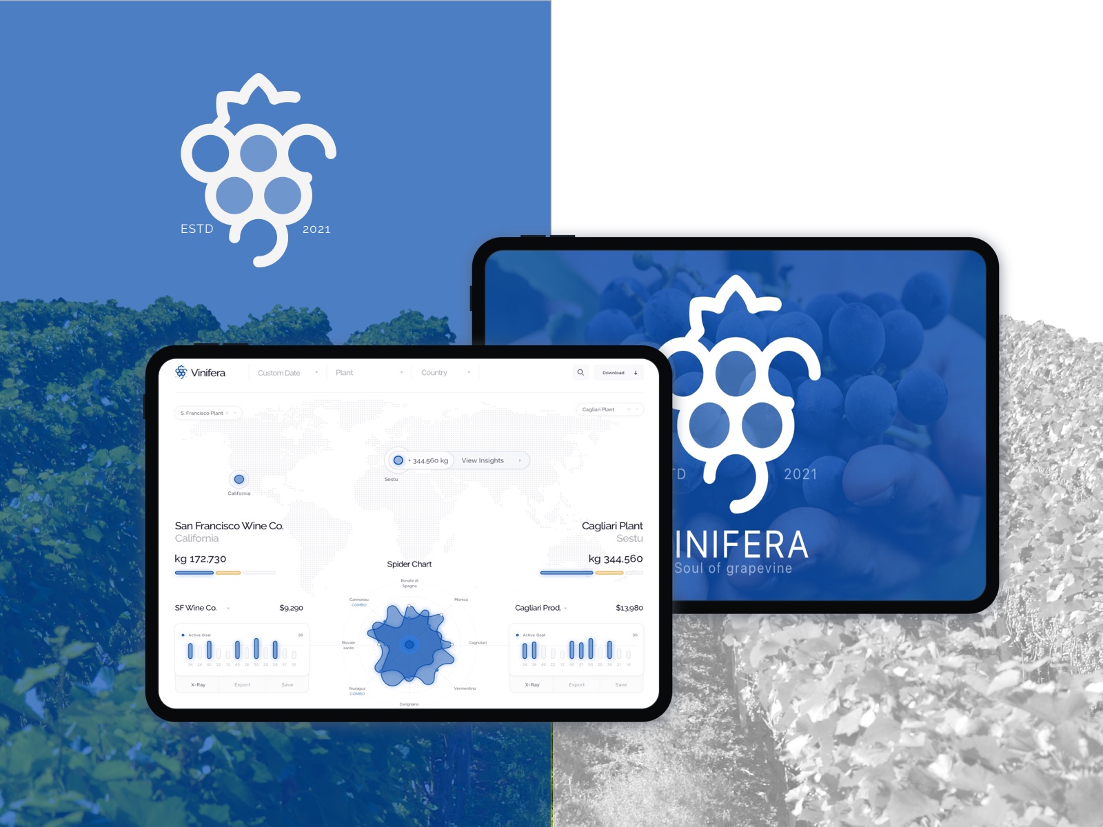 Immagine del progetto Vinifera